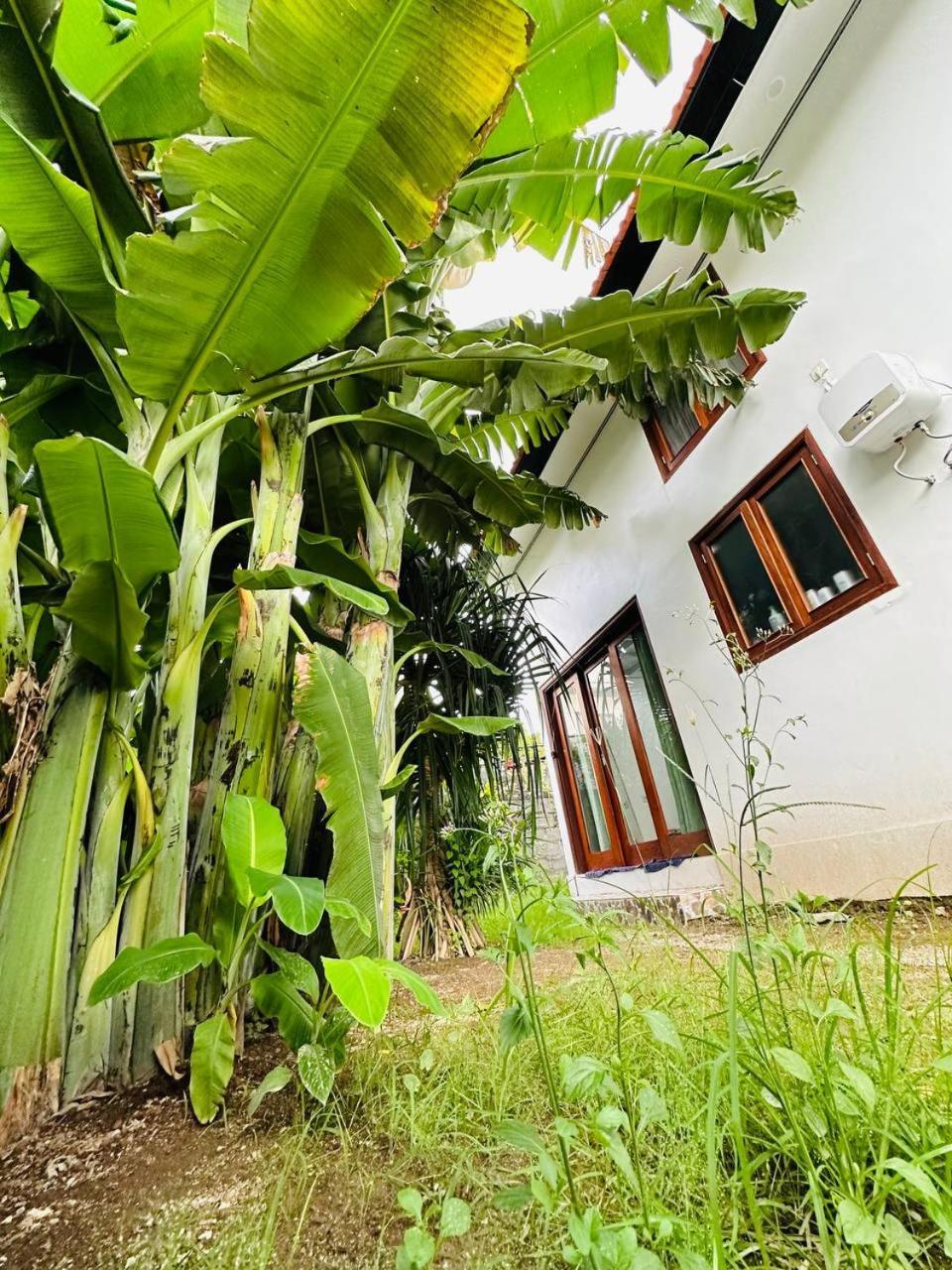 Villa House With Pool, 3 Bedroom, Bali, Sanur (Bali)